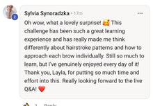 Load image into Gallery viewer, Hairstroke Bootcamp