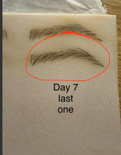 Load image into Gallery viewer, Hairstroke Bootcamp