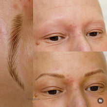 Load image into Gallery viewer, Hairstroke Bootcamp