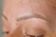 Load image into Gallery viewer, Hairstroke Bootcamp