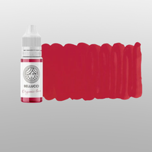 Load image into Gallery viewer, FACE Lip Pigments - Organic Love