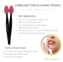 Load image into Gallery viewer, PMU SALES Lip Blend Exfoliating Wand FLASH SALE