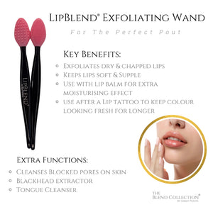 PMU SALES Lip Blend Exfoliating Wand FLASH SALE