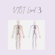 Load image into Gallery viewer, VTCT Level 3 Anatomy &amp; Physiology (from £200)