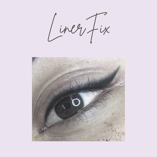 LinerFix Masterclass (£795)