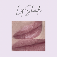 Load image into Gallery viewer, LipShade Masterclass (£795)