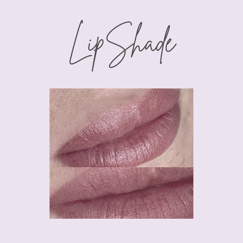 LipShade Masterclass (£795)