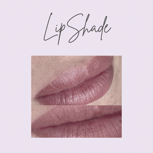 LipShade Masterclass (£795)