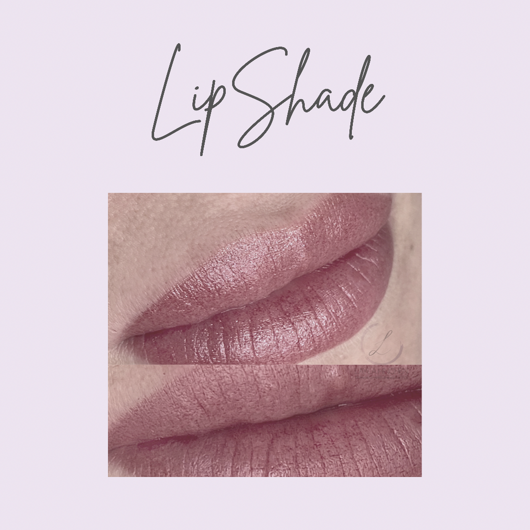 LipShade Masterclass (£795)